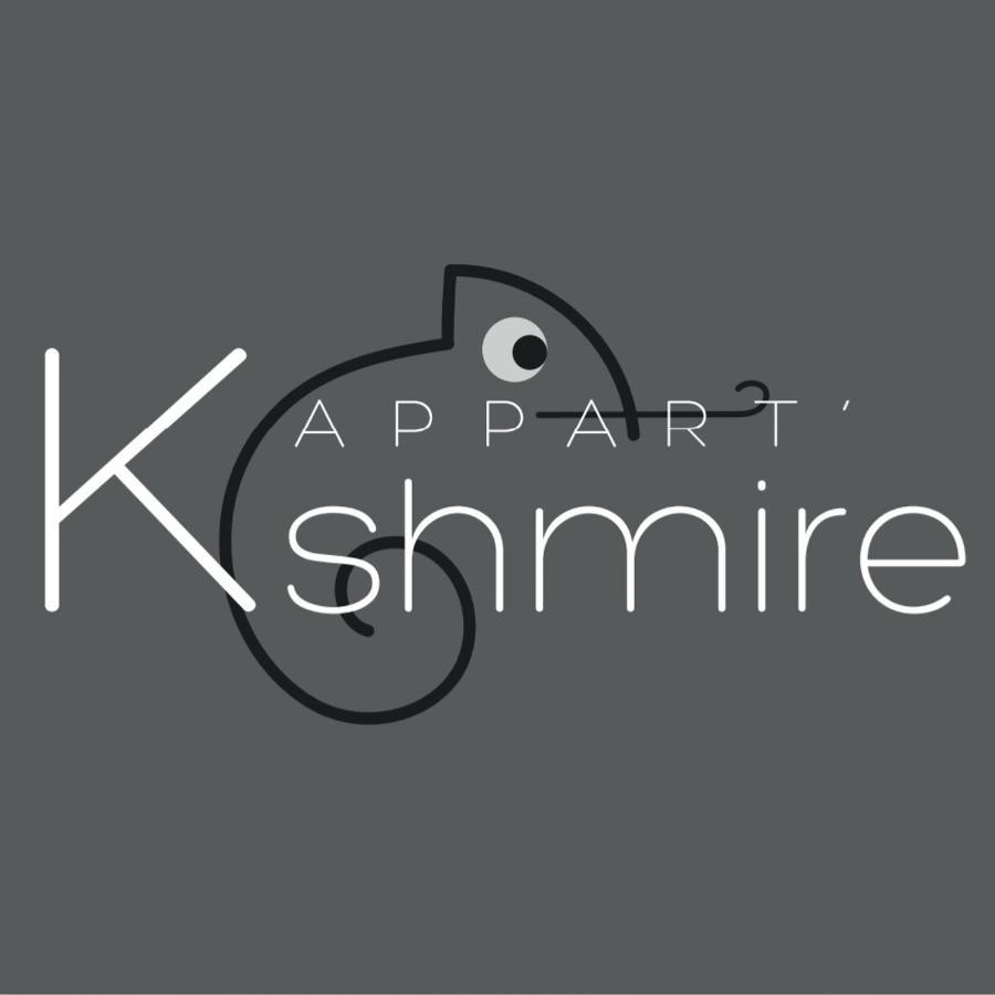 L'Appart K-Shmire- Cosy Et Spacieux, 4 Pers Le Mans Exterior foto